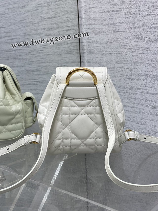 Dior专柜新款迪奥高仿原单白色Caro秋冬系列小号双肩包 djfk1251